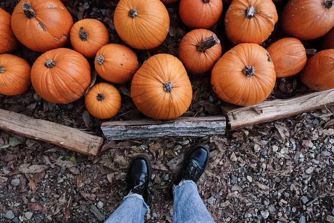 Miyuuのグルメインスタ