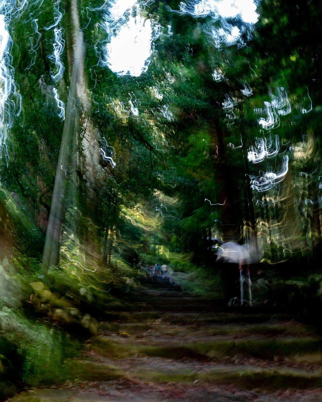 武井義明さんのインスタグラム写真 - (武井義明Instagram)「家に戻り、カメラで撮った写真を取り込んでみたら、どれもこれもこんなふうに。プログラムオートなのにおかしいなあ、もしや天狗のいたずら？　……と思ったが、カメラのシャッタースピードが、超スローになってただけでした。カバンから出すときに触っちゃったんでしょうね。ああびっくりした。でもこれはこれで雰囲気があっていいや。」10月24日 19時13分 - bebechef