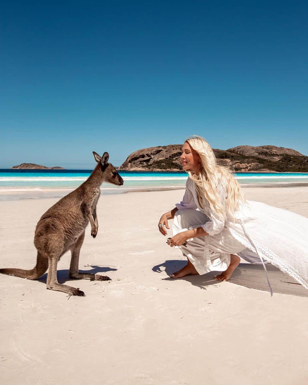 のインスタグラム：「Saying hello to the locals 🦘🦘  This is the pristine Lucky Bay in Cape Le Grand National park, known as one of the best beaches in the world and home to some very friendly wild kangaroos that visit the beach daily.  My experience here with the kangaroos brought mixed feelings. I’ve seen a lot of kangaroos through my life in Australia and it never gets old. And while it's so cute to see them, and even get close to them, some of the tourists here were repeatedly grabbing and touching the kangaroos for photos, which was distressing to see. Especially when you think that this could be happening to them every day. In some ways they don’t seem phased, almost used to it, but if you watch closer there were moments they would get agitated trying to find a path to move away from the crowd that hovered all around them.  My children watched in disbelief, choosing to stay completely away in protest, out of respect for the kangaroos. If you find some patience and allow them to move freely they will come and investigate you, generally searching for food. It's absolutely vital for the sake of their health and wellbeing you do not ever feed them. Luckily we didn't see any of this happening while we were there.  Today is also #WorldKangarooDay and I’d like to share my gratitude to those who care for our precious kangaroos, especially after the horrific bushfires we had this year.  What many people may not know is that kangaroos are the most slaughtered terrestrial wildlife species in the world 😢   There is a perception in Australia that kangaroos are a pest, populations are too high and they are overgrazing the land. The big issue is they are competing for resources with cows raised and slaughtered for the beef industry. An industry that is resource intensive and one of the most destructive for our environment and biodiversity. With threats to current farming practices and land management, kangaroo populations are controlled with government sanctioned cullings. These occur at night and according to the RSPCA large numbers are being shot inhumanely with some joeys left to die without their mothers.  Continued in comments 👇🏼」