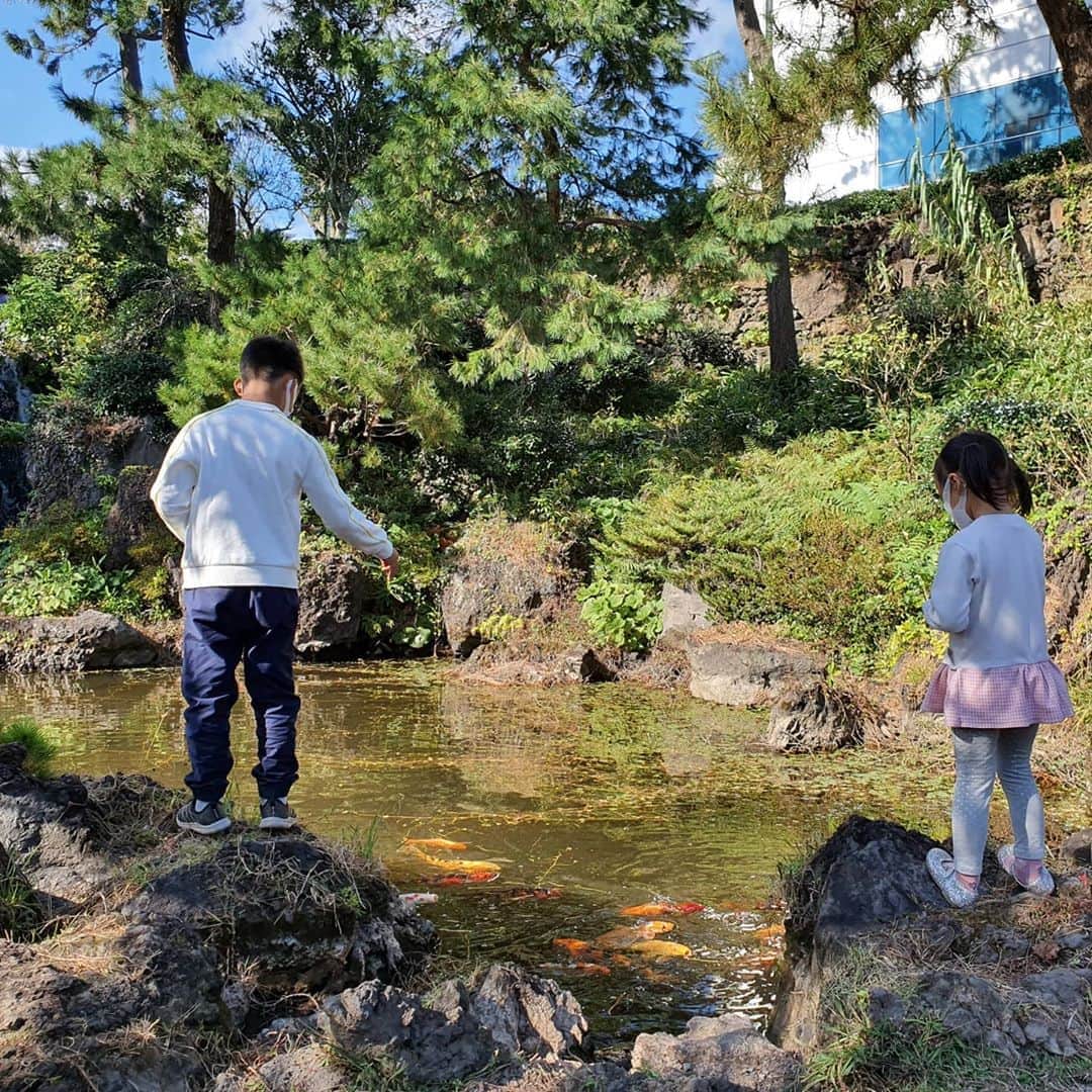 チョン・ダへさんのインスタグラム写真 - (チョン・ダへInstagram)「노리매 안보다 밖에서 물고기 밥주는 일이 제일 즐거웠다는 남매들....  어...그래.....🙄 입장료가 아까워 질라하네...?😅  (그래도 노리매는 좋습니다 여러분!! 😊)  바다가 제일 좋다는 섬소년소녀, 아...너희도 제주도민이지!!!!  #딸래in제주 #제주도민 #제주생활 #노리매 #하모해수욕장 #언제든바다는좋구나 #제주도보여드려요 #남매맘 #제주맘 #알리남매」10月24日 19時32分 - ddallae