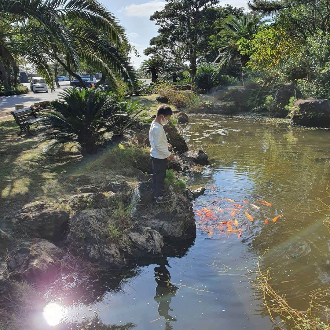 チョン・ダへさんのインスタグラム写真 - (チョン・ダへInstagram)「노리매 안보다 밖에서 물고기 밥주는 일이 제일 즐거웠다는 남매들....  어...그래.....🙄 입장료가 아까워 질라하네...?😅  (그래도 노리매는 좋습니다 여러분!! 😊)  바다가 제일 좋다는 섬소년소녀, 아...너희도 제주도민이지!!!!  #딸래in제주 #제주도민 #제주생활 #노리매 #하모해수욕장 #언제든바다는좋구나 #제주도보여드려요 #남매맘 #제주맘 #알리남매」10月24日 19時32分 - ddallae