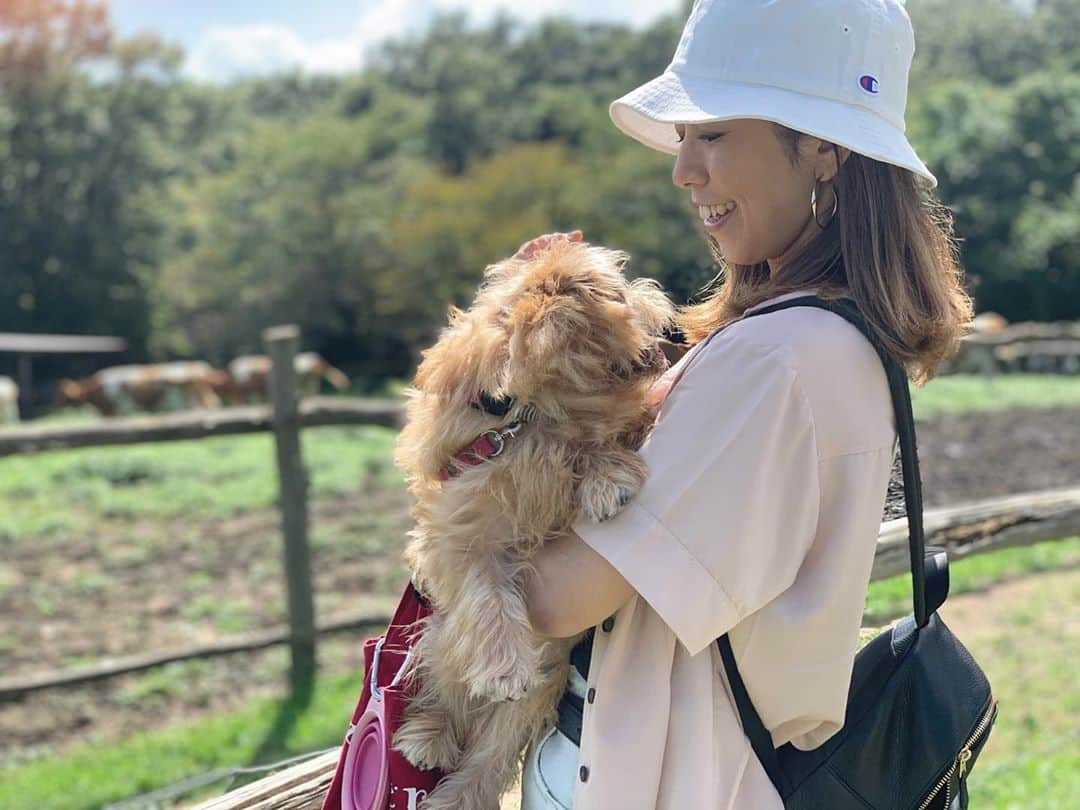 梅原玲奈さんのインスタグラム写真 - (梅原玲奈Instagram)「もじゃもじゃ犬に癒される自主隔離期間　#day4 🐶👩‍🦰 #throwback   #dogstagram  #うめさんぽ #ぼさぼさ犬  #norfolkterrier  #ノーフォークテリア  #犬のいる暮らし  #夏休み #那須旅行  #えま子 #selfquarantine」10月24日 19時43分 - reina_umehara