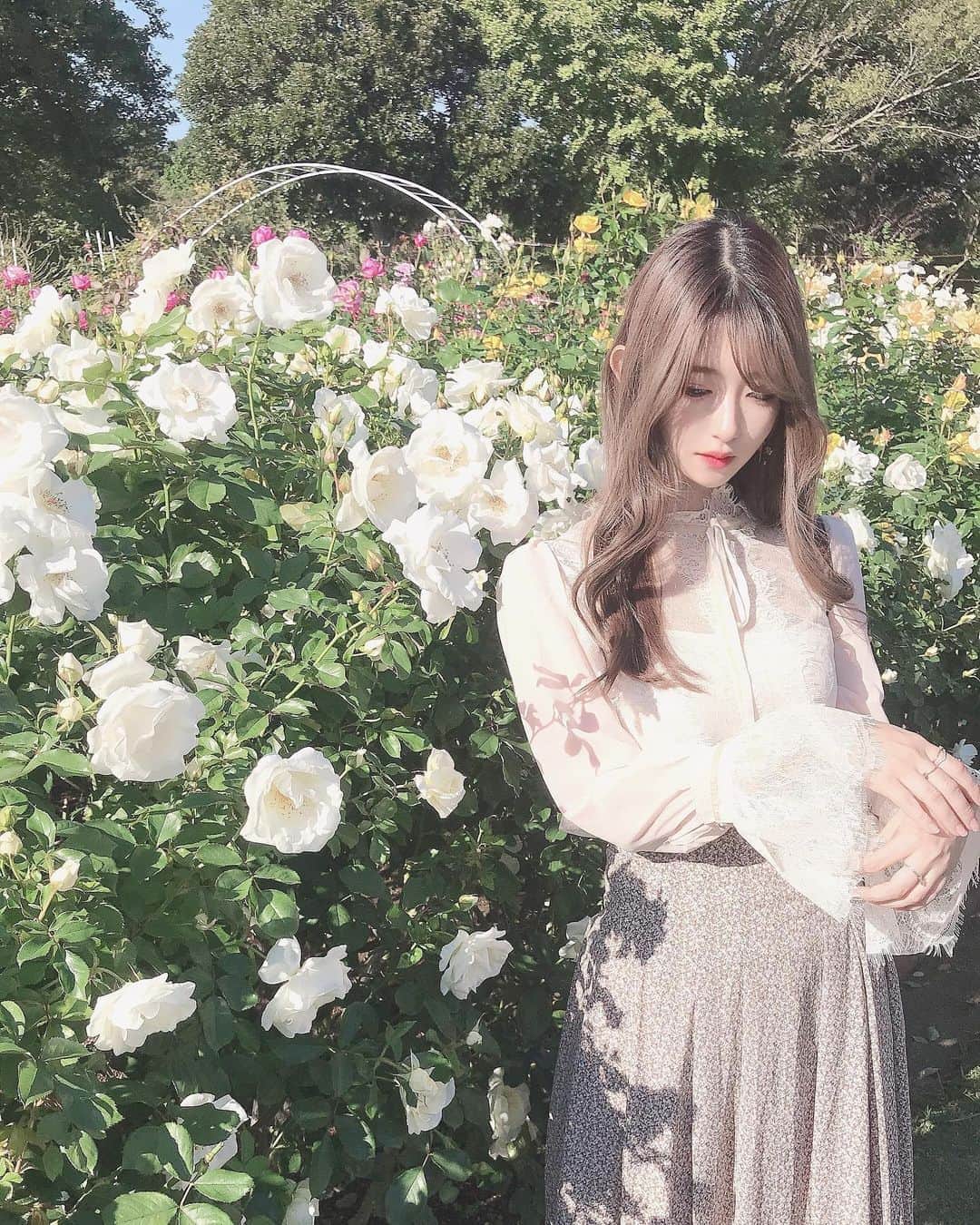 れみぱんのインスタグラム：「秋薔薇🥀」