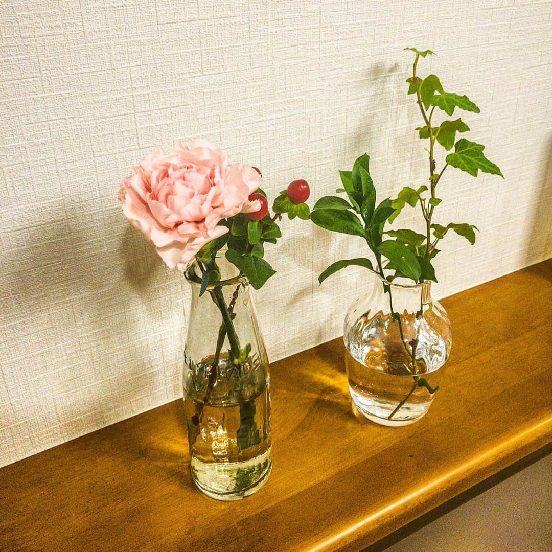 星野みちるさんのインスタグラム写真 - (星野みちるInstagram)「今週のお花はこちらでした（＾ω＾） カーネーション、ヒペリカム、マルバルスカス。 前回の葉っぱがひとつあったので、 葉っぱチームとお花チームに分けました（＾ν＾） かわいいー！花瓶も可愛い( ◠‿◠ ) #bloomeelife  #bloomeelifeのある暮らし  #お花　#お花のある暮らし #flowers #カーネーション　#マルバルスカス　#ヒペリカム　#花瓶」10月24日 19時46分 - hoshinomichiru