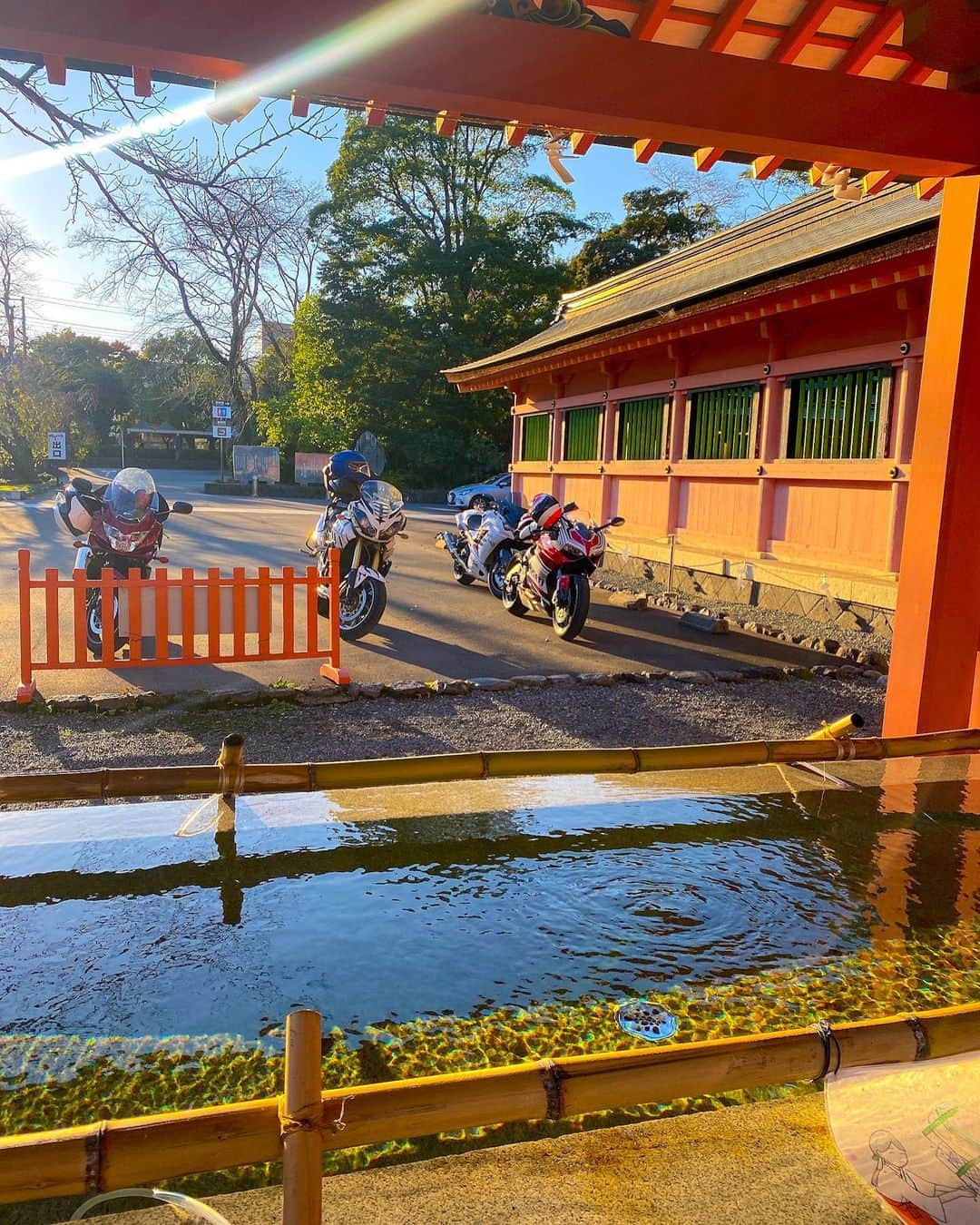 CAMIRAさんのインスタグラム写真 - (CAMIRAInstagram)「久しぶりの週末の晴れ☀️伊豆にいってきたよ〜☺️バイク日和！最高っ #バイク日和#バイク女子#バイクのある風景#バイク好きな人と繋がりたい#海鮮丼#superbike#bikelife#bikegirl」10月24日 19時58分 - camila.528