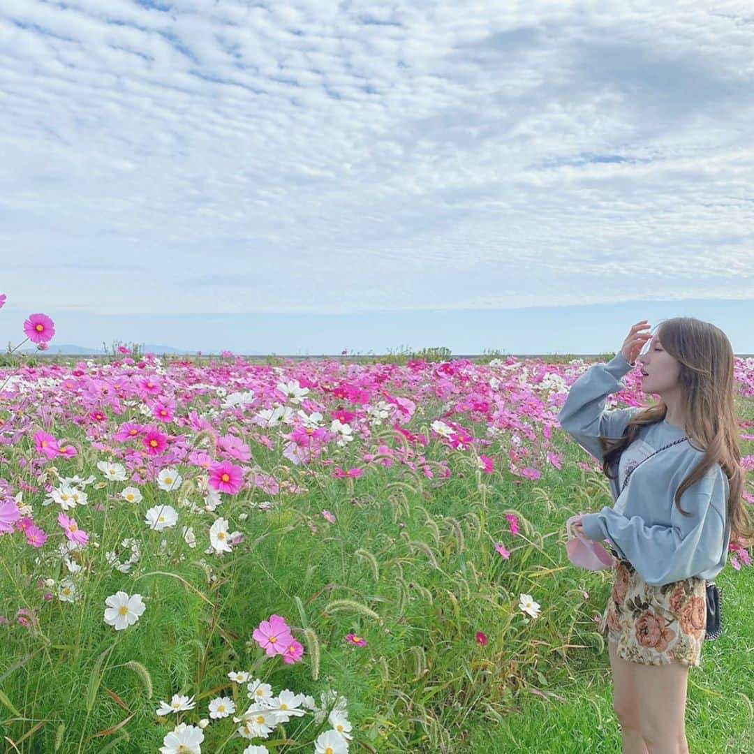 Moeka Takamatsuさんのインスタグラム写真 - (Moeka TakamatsuInstagram)「コスモス💐 . . . #コスモス#秋桜#コーデ#ファッション#コーディネート#デートコーデ#カジュアルコーデ#低身長コーデ#ロングヘア#ヘアスタイル#ヘアメイク#サロンモデル#サロモ#被写体#メイク#カラコン#自撮り#写真 #salon#model#style#hairstyle#makeup#fashion#love#selfie#selca#followme#instagood#like4like」10月24日 20時14分 - moka_222