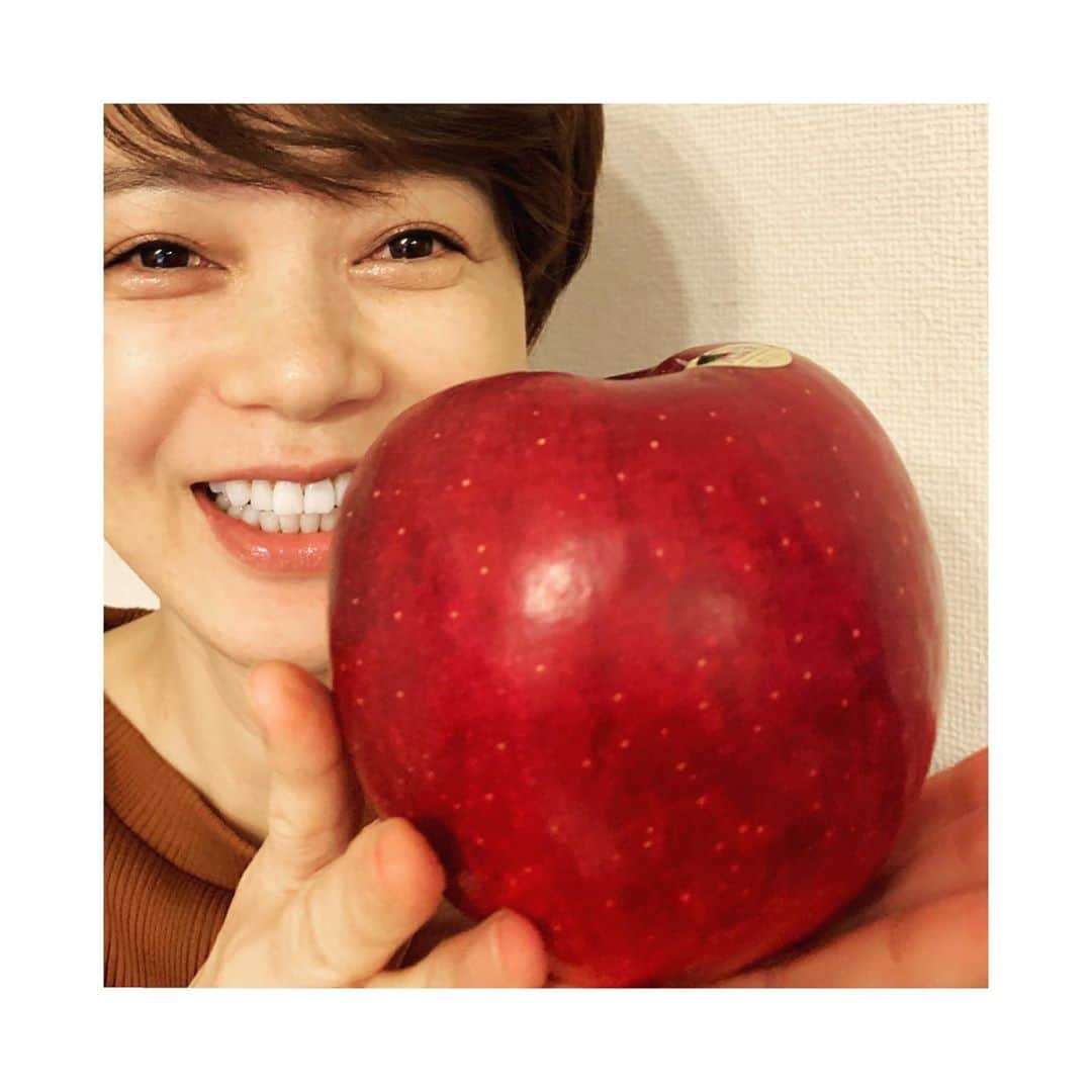 いかりさとみのインスタグラム：「大紅栄という大きいりんごをいただきました大光栄です☺️ #大紅栄#だいこうえい #りんご」