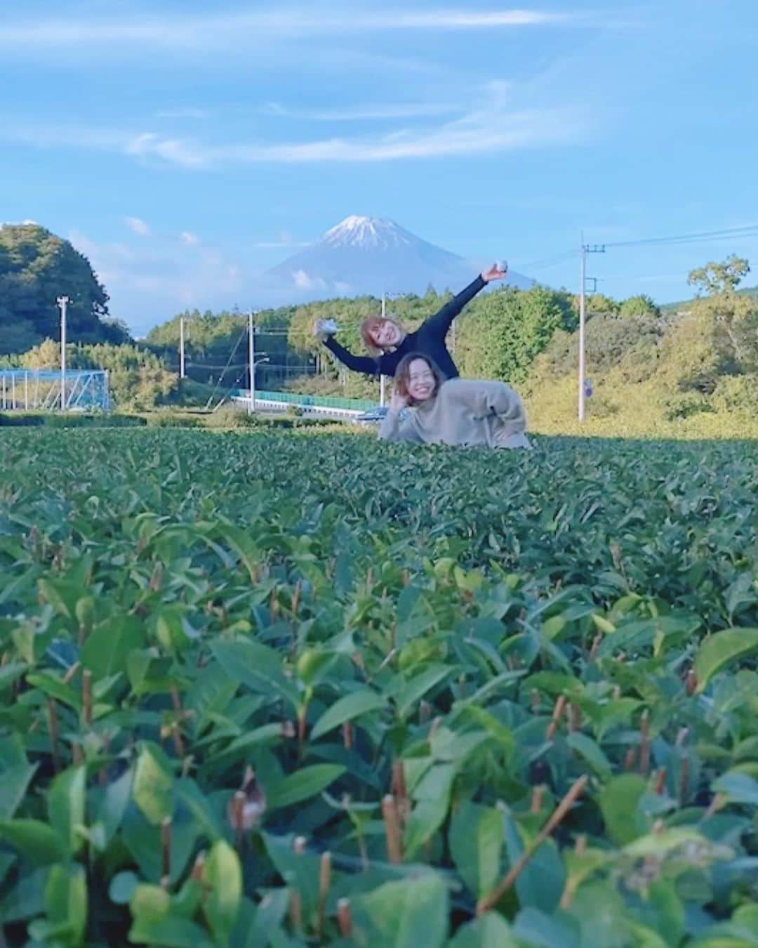 白井奈津さんのインスタグラム写真 - (白井奈津Instagram)「茶畑で飲むその地のお茶は 本当に美味しくて 富士山も美しかったけど なにより茶畑でごろごろした事が極上の癒しでした🤤🍵  #雨女なのにこのお天気は奇跡 #静岡　#富士山 #茶の間　#まるも茶園 #外で飲むあったかいお茶いいよね🍵」10月24日 20時23分 - shirai_natsu