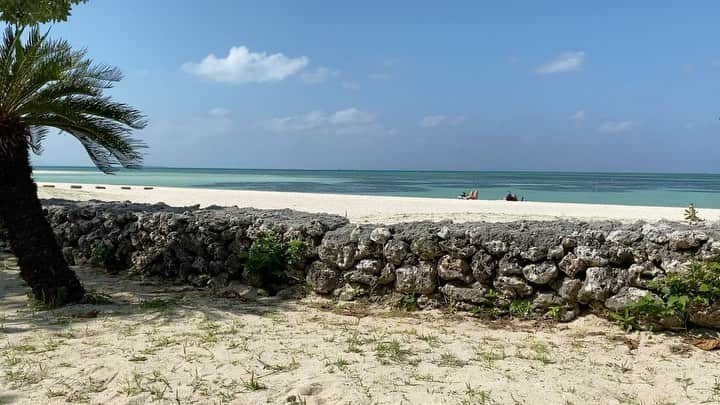 井咲アキのインスタグラム：「🐈 竹富島コンドイビーチ🏝 猫ちゃんたくさんいました💓 人馴れしてて可愛すぎた😭😭😭 みんな、去勢済みの証の耳カットをされていて、 しっかり管理されていることに安心しました😌 ・ ・ ・ #竹富島#コンドイビーチ#石垣島#沖縄#旅行#海 #猫#黒猫#猫大好き#可愛い#可愛い猫ちゃん#保護猫 #taketomijima#taketomiisland #kondoibeach #ishigakijima#ishigakiisland#okinawa #travel#vacation#vacation#sea#seaside  #cat#blackcat#cute#lovely#beautiful#mood」