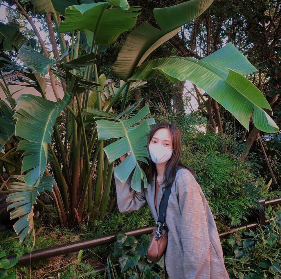 中山来未のインスタグラム：「オーディションの後、母と合流して 高中正義さんのLIVEに🙃 生の音、最高にｲｶﾂｶｯﾀ  バナナの木とくるみ」
