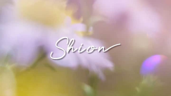冨吉明日香のインスタグラム：「‪お知らせ🌷 私がプロデュースするアパレルブランド “shion”の公式サイトがオープンします！ そして、10/26 18:00より 販売開始が決定しました、、 いよいよだ、、嬉しい、、😭！‬  もうアイテムも掲載されています！ ‪まだまだ品数や種類は少ないですが これからたくさん可愛いものたちを 作っていきますのでお楽しみに…！‬  ストーリー、ハイライトに 固定しておきます☺︎ ‪https://shion-official.com/‬」