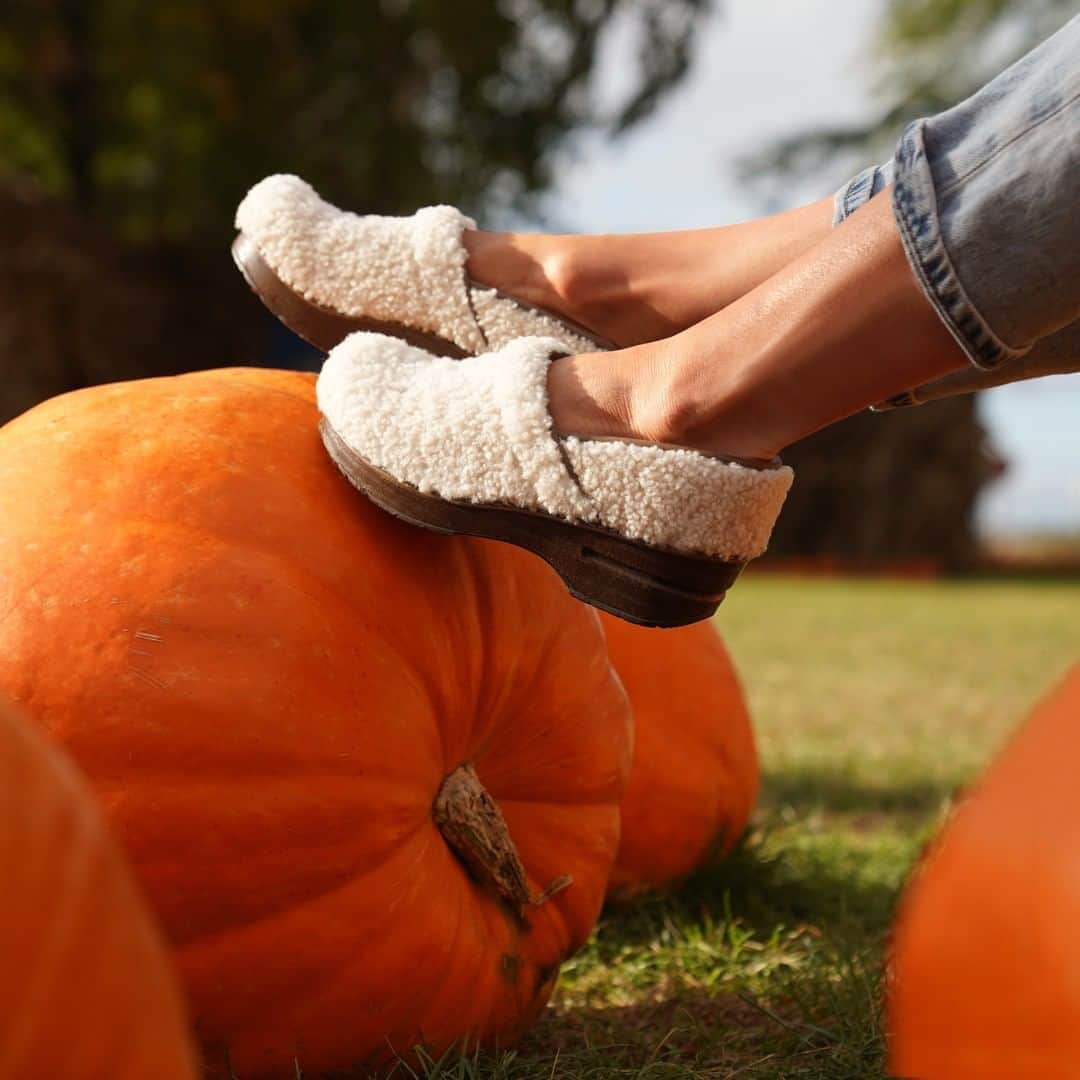 ダンスコのインスタグラム：「Adding *wear cozy clogs to a pumpkin patch to our fall to-do list.」