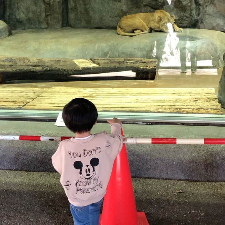 佐藤飛鳥のインスタグラム：「おきてー！ #起きなかった😭笑 #Pがめっちゃ喋るようになって可愛い」