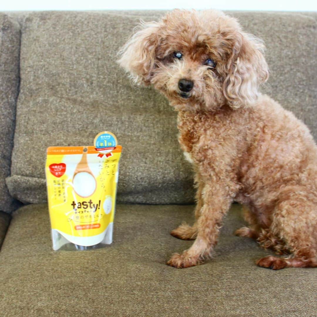 Atsukoのインスタグラム：「最近のワンコのごはんトッピングに欠かせないアイテムでこんばんは！ カルシウム不足が気になるシニアわんこにピッタリのヤギミルク❤ふりかけにもなるし、水にとかしてミルクにもなる😍 わんこのご飯にトッピングすると食いつきもよくて✨魔法のアイテムです🙌🙌 ･ このミルク、 ･オーガニック ･腸内環境を整える ･牛乳よりカロリー低めでヘルシー ･ヤギミルク使用❤ ･ これらの特徴あります。 愛犬に是非😍という方は楽天roomから👉🏻 ･ ･  #PR#天使のヤギミルク#オーガニック#低脂肪#高栄養#楽天roomにのせてます」