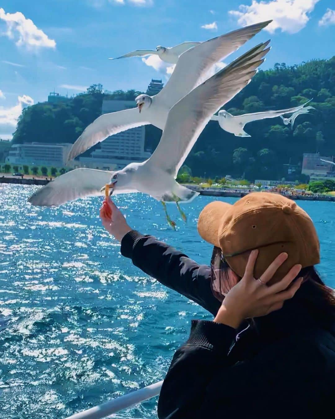 クレヨンだいちゃんのインスタグラム：「🐝🐌🐝🐌🐝 ㅤㅤㅤㅤㅤㅤㅤㅤㅤㅤㅤㅤㅤ ㅤㅤㅤㅤㅤㅤㅤㅤㅤㅤㅤㅤㅤ おとちゃんと初めての旅行🦐 ㅤㅤㅤㅤㅤㅤㅤㅤㅤㅤㅤㅤㅤ 久しぶりに休みとれたから 嫁が温泉旅行予約してくれてた🦧 ㅤㅤㅤㅤㅤㅤㅤㅤㅤㅤㅤㅤㅤ 前日の夜にウキウキして嫁が ご飯の時間を電話で確認したら 予約されてないって言われ、、、 嫁が半泣きで怒ってた🙉 ㅤㅤㅤㅤㅤㅤㅤㅤㅤㅤㅤㅤㅤ 旅行当日の朝に 貸切風呂&部屋食付きの 宿を調べたけど全くなくて  1つ宿見つかって弾丸旅行🦦 ㅤㅤㅤㅤㅤㅤㅤㅤㅤㅤㅤㅤㅤ ついてすぐに貸切風呂むかって ㅤㅤㅤㅤㅤㅤㅤㅤㅤㅤㅤㅤㅤ おとちゃんのために 貸切風呂予約したのに なんと、足つけた瞬間に 大泣きで2秒で終了。 ㅤㅤㅤㅤㅤㅤㅤㅤㅤㅤㅤㅤㅤ もっかいチャレンジしたけど 足バタバタして 背中そって意地でも 入らんくなってもて そのまま大泣きで貸切終了。 ㅤㅤㅤㅤㅤㅤㅤㅤㅤㅤㅤㅤㅤ 貸切風呂できる宿予約した意味。笑 2秒で2700円の豪華風呂🤡  次の日は何も決めてなかって 初島ってのを知って ご飯食べに行ってきた🍄 ㅤㅤㅤㅤㅤㅤㅤㅤㅤㅤㅤㅤㅤ ㅤㅤㅤㅤㅤㅤㅤㅤㅤㅤㅤㅤㅤ 写真は カモメに餌あげたい言うてたら 隣のおばちゃんに かっぱえびせんもらえて ㅤㅤㅤㅤㅤㅤㅤㅤㅤㅤㅤㅤㅤ 4回目ぐらいで成功した時の写真📸 ㅤㅤㅤㅤㅤㅤㅤㅤㅤㅤㅤㅤㅤ 今この写真みて絶対指噛まれてると 嫁が横で言ってるねんけど、、 それならその時わかるはず。  ※色々事件あって 　文章長くなってもた。笑 ㅤㅤㅤㅤㅤㅤㅤㅤㅤㅤㅤㅤㅤ　 #アホな嫁 #わがまま娘 #おとちゃんに大人用の布団用意されててドヤ顔された #旅行は島行きがちㅤㅤㅤㅤㅤㅤㅤㅤㅤ #初旅行 #温泉旅行 #5ヶ月ベビー  #カモメに餌やり  #初島 #湯河原 #私の好きを価値に  #@meeeeme_offical  ㅤㅤㅤㅤㅤㅤㅤㅤㅤㅤㅤㅤㅤ」