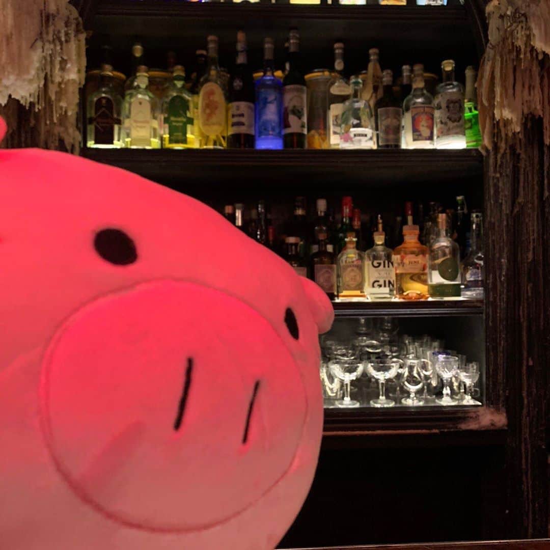 日曜劇場『危険なビーナス』【公式】のインスタグラム：「現場レポート　その27🐖🐖🐖 . . 第3️⃣話放送はついに明日😳‼️ 楓さんは無事なのか...😢 . そして本日はちょっと大人な私ブーナス🐽 ここがどこのロケ場所かはお分かりですね...🍸 . 明日3️⃣話放送後からは Paraviオリジナルストーリーも配信開始💻✨ . 忘れずにCheck👀してくださいね💨 . . #日曜劇場 #危険なビーナス #東野圭吾 #ブーナス #ブーナスの現場レポート #妻夫木聡 #吉高由里子 #ディーンフジオカ #染谷将太 #中村アン #堀田真由 #結木滉星 #福田麻貴 #3時のヒロイン #R指定 #CreepyNuts #麻生祐未 #坂井真紀 #安蘭けい #田口浩正 #池内万作 #栗田芳宏 #栗原英雄 #斉藤由貴 #戸田恵子 #小日向文世 #安全なビーナス #蒼井翔太」