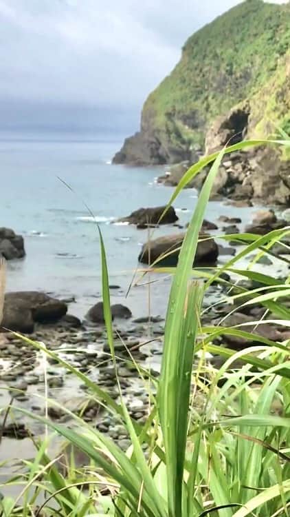 安藝正俊のインスタグラム