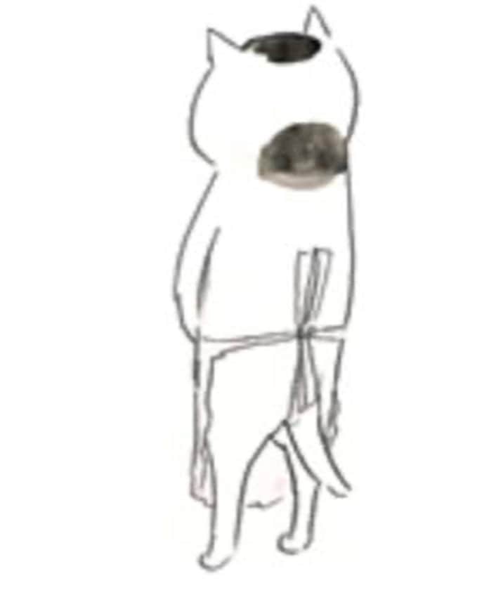 芽朗さんのインスタグラム写真 - (芽朗Instagram)「猫村さんのエプロンのリボンは縦結びになるところも同じ。  猫村さんと同じ柄(しっぽの色だけ惜しい…🥺)なことから人間のエゴと愛情たっぷりの寅村さんエプロンを付けて。 ※親愛なる乳母が手刺繍で仕上げてくれた"TORA"  最後の動画、てっちりの優しさに泣きました。 もう猫すたぐらむになっていますが、止めれない… 。☺️🙇‍♀️」10月24日 21時42分 - mellowfukushima