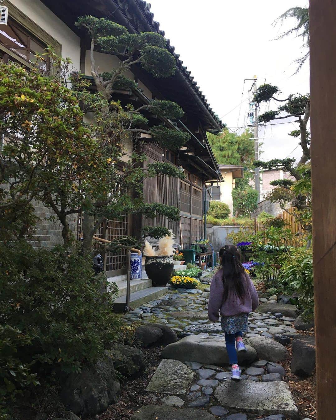 六車奈々さんのインスタグラム写真 - (六車奈々Instagram)「まだまだ宮沢賢治さん。 宮沢賢治さんが最後に作ったといわれている花壇を見に、『かだん』さんへ。  お家をそのままお店にした、とても雰囲気のある空間で、お抹茶を頂きました。  #宮沢賢治 #宮沢賢治の花壇」10月24日 21時44分 - nanarokusha