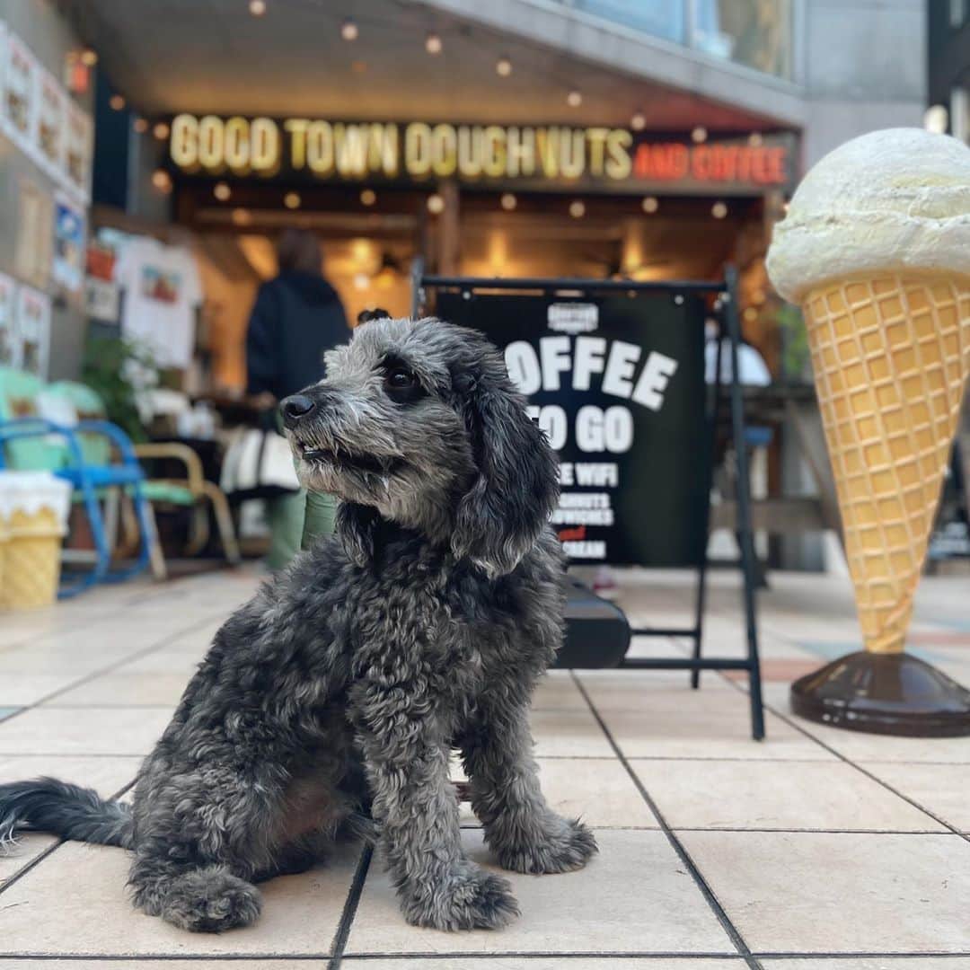 中田クルミのグルメインスタ