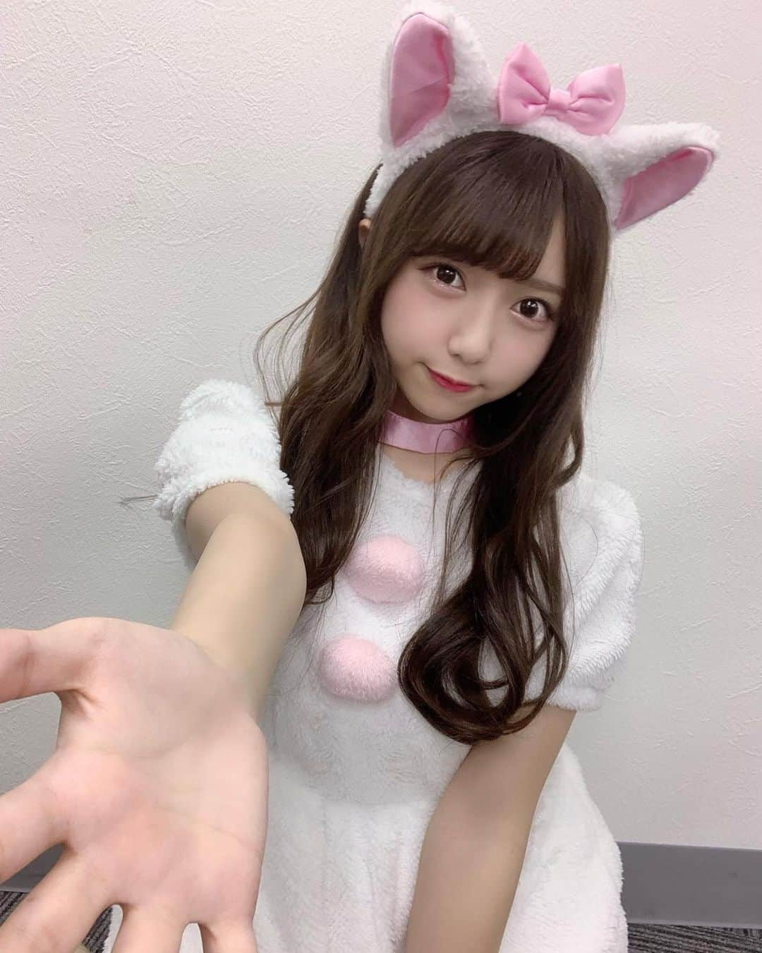 萩田ここさんのインスタグラム写真 - (萩田ここInstagram)「・﻿ 🐈🎀﻿ ﻿ 今日はハロウィン特典会ありがとうございました😊﻿ ﻿ これは1部の衣装だよ！﻿ 白猫になりました〜💗☁️﻿ ﻿ 2部の衣装もまた載せるね🐰﻿ ﻿ 明日のハロウィンライブも楽しみ🎃🤍﻿ ﻿ Had a Halloween event today!!﻿ Wore a white cat costume♡﻿ ﻿ #かみやど #ひらがなかみやど #萩田ここ #アイドル #JapaneseIdol」10月24日 22時00分 - kokoro_hagita