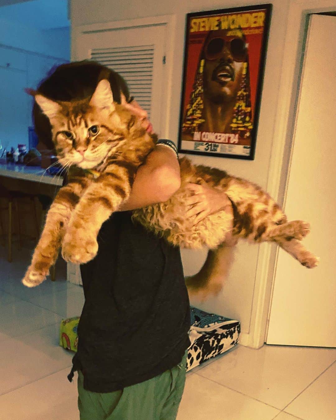 カロライナディークマンのインスタグラム：「meus gatinhos... ops... gatÕEs!!!」