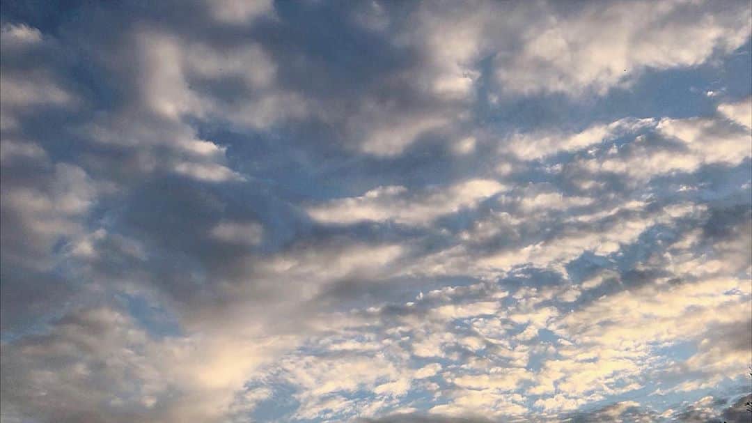 西脇梨紗さんのインスタグラム写真 - (西脇梨紗Instagram)「昨日は朝から撮影をしていて雨がずっと降っていたけど終わった頃だけすごい綺麗なお空を見せてくれたのでスタッフさんとパシャパシャした幸せタイム🧚」10月24日 22時07分 - risa_nishiwaki