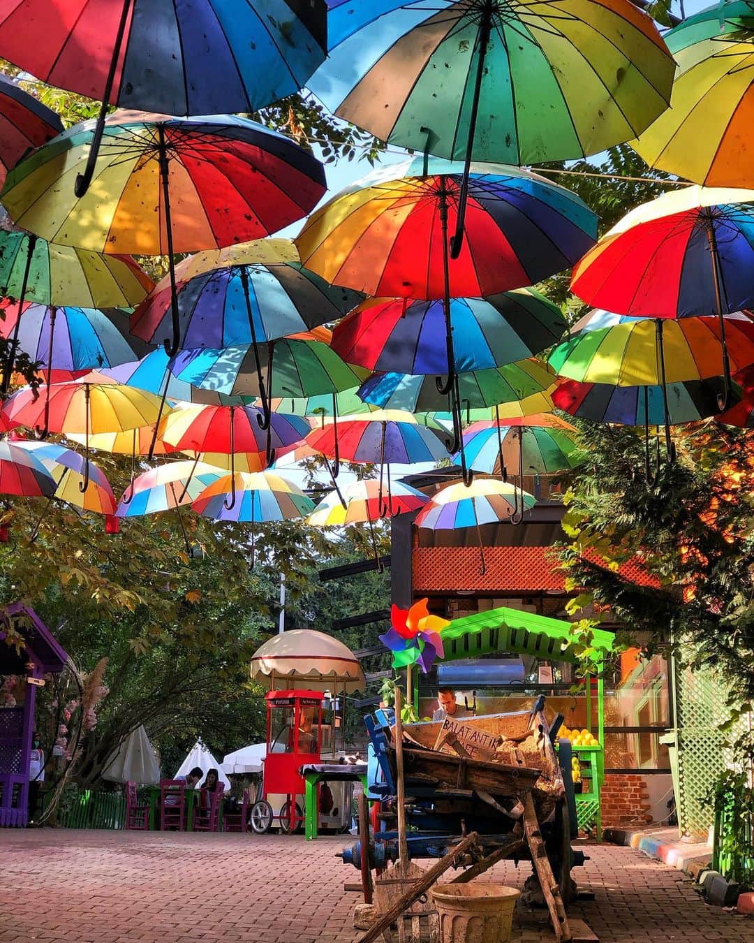 Seyda♥ Travel & Natureのインスタグラム：「🔴🟡💖🔵🟣☘️🧿 #istanbul」