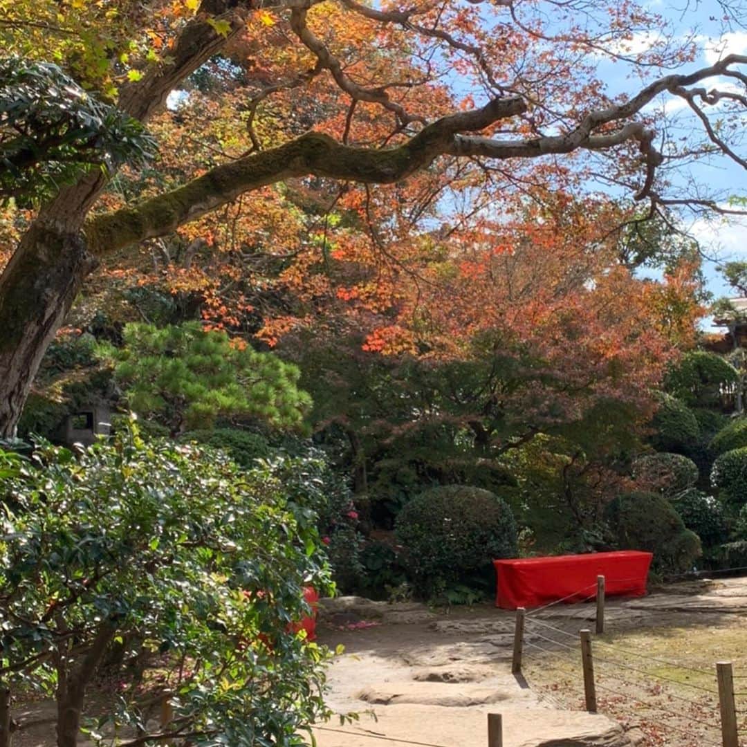 前田真里さんのインスタグラム写真 - (前田真里Instagram)「最近、母に似ているね、と1日に3回くらい 言われます🤣  あ、中身は、正反対🐇🐢 笑 私は、とてもマイペ～スです。  写真は、去年の紅葉写真。　  ＃nagasakilovers #長崎 #photocity_nagasaki」10月24日 22時15分 - maedamari