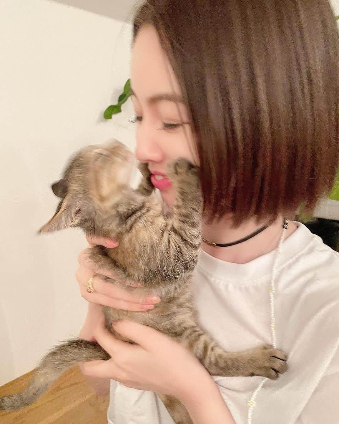 松下萌子さんのインスタグラム写真 - (松下萌子Instagram)「猫も大好きーーー❣️😍😊🥰🐈 #保護猫　#moeco #松下萌子　#animal #cat」10月24日 22時27分 - moecochalkart