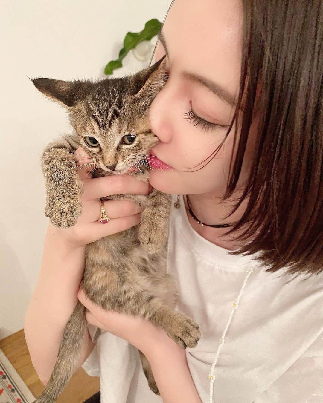松下萌子のインスタグラム：「猫も大好きーーー❣️😍😊🥰🐈 #保護猫　#moeco #松下萌子　#animal #cat」