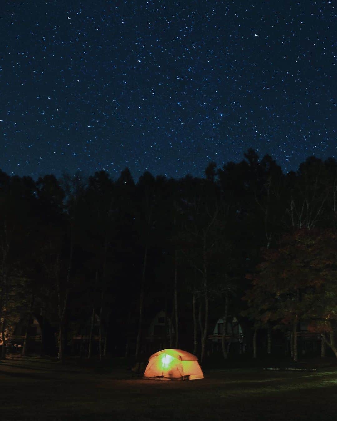 Y U R I Eさんのインスタグラム写真 - (Y U R I EInstagram)「星空が綺麗な日は 寒いのを忘れてずーっと見てしまう☺️  月明かりのほとんどない夜🌚 星とテントだけが光ってた （あとこっちを見る鹿の目もたくさん光ってた🤣）  ひさしぶりにこんな空みたなぁ🤍 📍TINY GARDEN 蓼科 #長野県#長野#蓼科#星空#キャンプ#ペポライト #stargazing#nightsky#campinglife」10月24日 22時48分 - yuriexx67