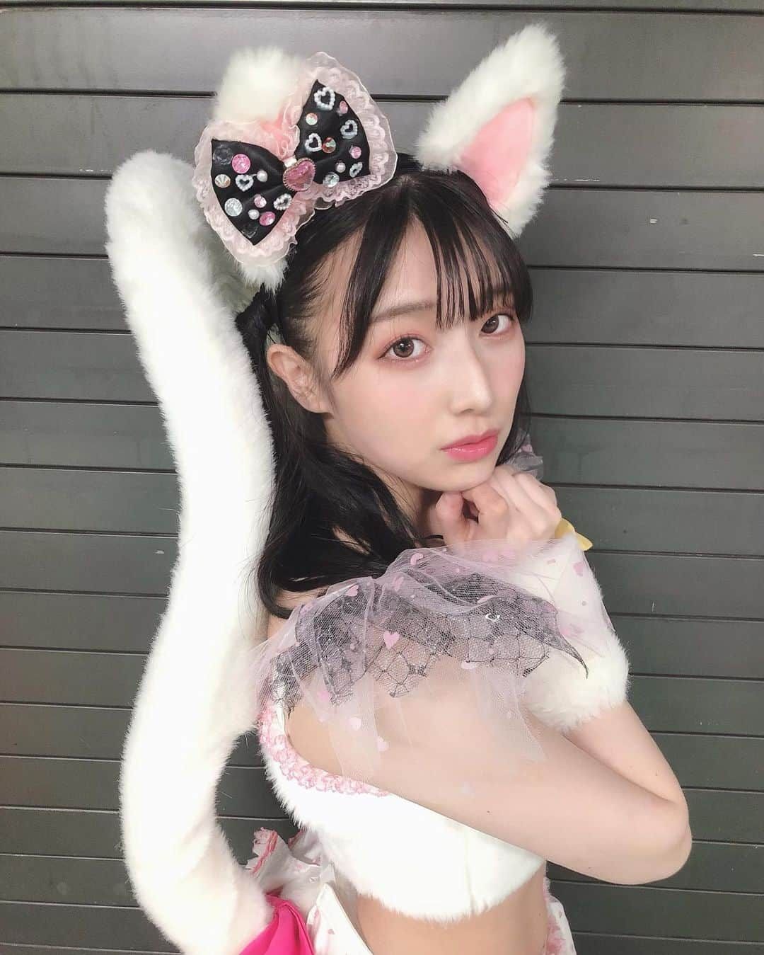 安部若菜さんのインスタグラム写真 - (安部若菜Instagram)「妄想ガールフレンド😽🤍 #NMB48#アイドル#衣装#猫」10月24日 23時00分 - _wakapon_