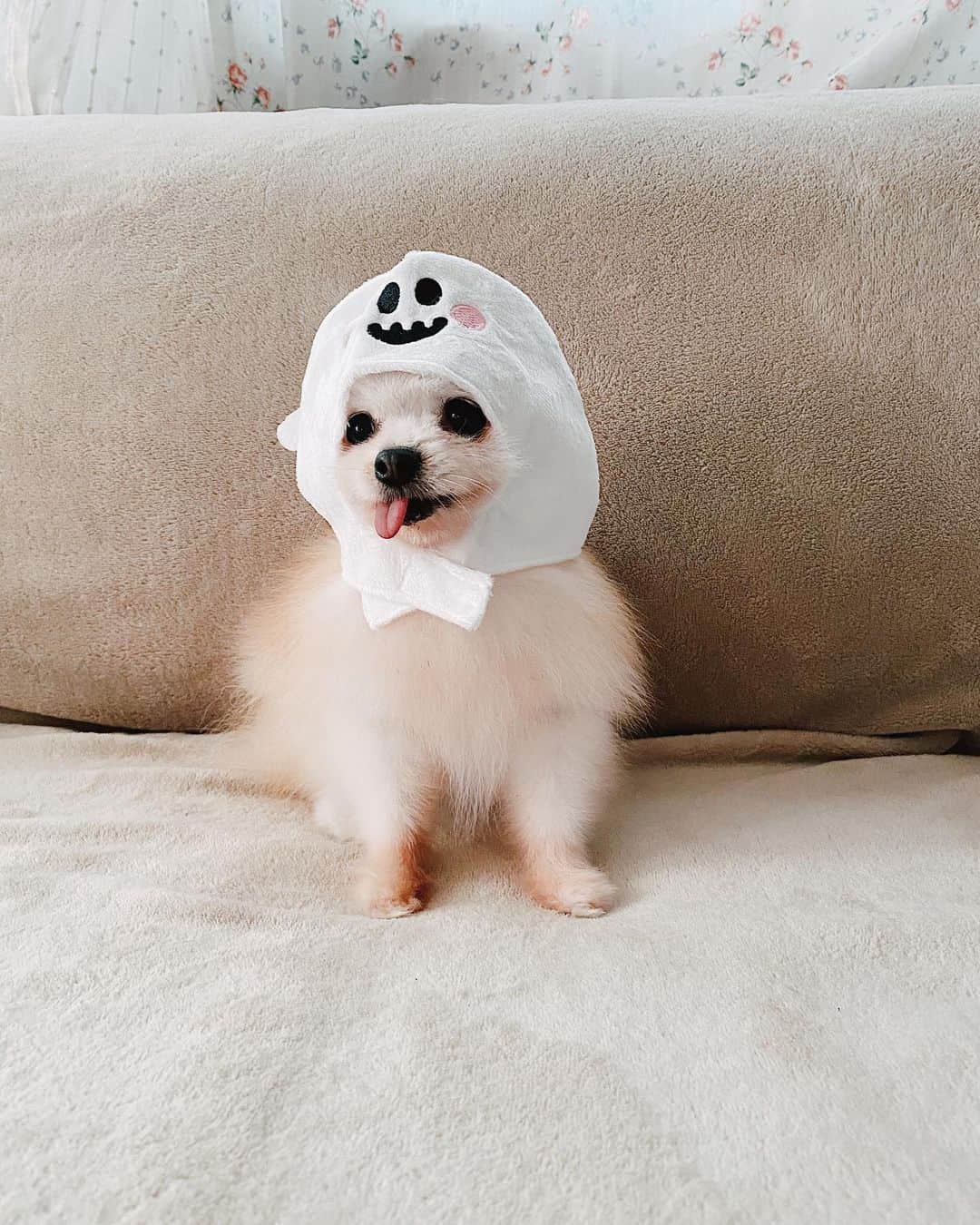 r_oseのインスタグラム：「Halloween outfit 2020 👻🎃〰️ #halloweencostume」