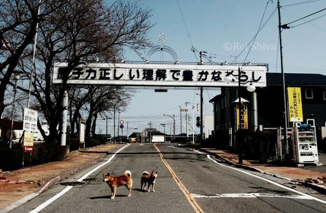 志葉玲のインスタグラム：「原発事故直後の福島県双葉町。原発PR看板は後に撤去された。2011年撮影  今年10月から、今後40年続く電気代値上げがこっそりと始まったことを、皆さんはご存知だろうか？その原因は、主に2011年3月の東京電力の福島第一原発事故だが、今回、負担増となるのは、原発事故とは関係ない新電力事業者及び消費者だ。新電力には、太陽光や風力など、CO2や放射性廃棄物を出さない、再生可能エネルギーに力を入れている事業者が多数あるのだが、これらの事業者が発電した電気を供給する際に、既存の電力網を使用する。その「使用料」は、託送料金と呼ばれるが、これに原発事故による賠償や廃炉費用の一部を上乗せすることを、経済産業省が省令で決めてしまったのである。だが、これは本来、原発事故を起こした東京電力及び、その他の原発事業者が負担すべきものだ。また、原発産業にお金を使いたくないという消費者の選択の自由を奪うものでもある。  ↓全文 https://bit.ly/3kmhcxH」