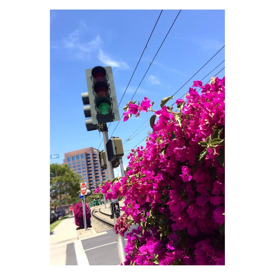 陽月華さんのインスタグラム写真 - (陽月華Instagram)「☆  ピンクとブルー  好きな組み合わせ。  明日　東京は　 晴れるみたい。  わーい。  いつぞやの #サンディエゴ #sandiego #blue #pink #ブルー #ピンク #晴れ」10月24日 23時13分 - hizukihana_official