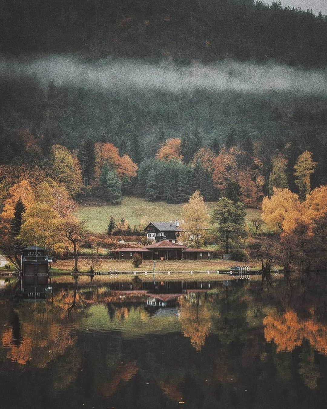 Berlin Tokyoのインスタグラム：「A misty, moody morning. . . . #hellofrom #germany」