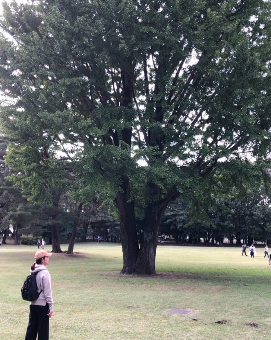 のインスタグラム：「野川公園は、井の頭公園にはない、違う魅力がいくつかある。 ひとつは大芝生の広場。野川の場合テントも張れるのでちょっとしたキャンプ気分を楽しんでるファミリー多数。井の頭公園て意外にも芝生の広場ないんです…。元ICUのゴルフ場だったことがわかる広大な芝はこの公園のいちばんの魅力です。広場はたぶんパー4のホール跡だと思う…。 予約制のBBQ場も。広い森の中は今日も大盛況でした。炭捨て場まであってしっかり管理されています。壁打ちテニス場も一度やってみたいなあ。 土日でもそんなに混み合わない、のんびりした感じもいい。野川は足を浸すこともできる素朴で自然な小川。水は澄んでいてきれい。川沿いはすいていて穴場だと思う。 写真は大イチョウ、紅葉したら見事だろうなあ。また来ます。 #park #autumn #largetree  #weekend #peaceful #good #野川公園　#魅力　#週末　#好きな場所  #大イチョウ　#大木」