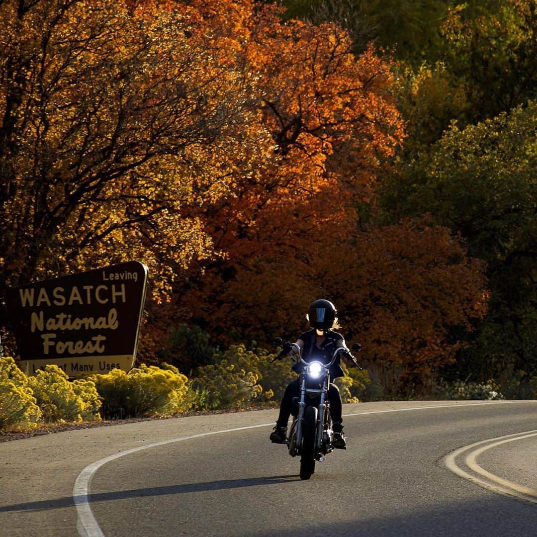 Harley-Davidson Japanのインスタグラム