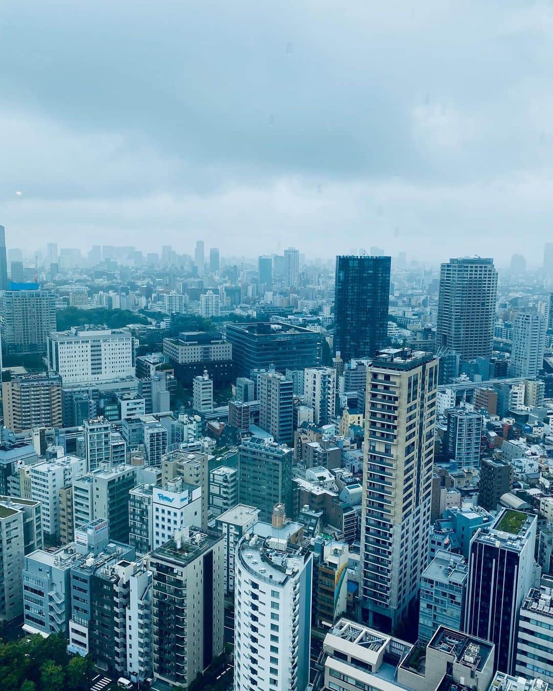 中村祐美子さんのインスタグラム写真 - (中村祐美子Instagram)「⚡️﻿ ﻿ 東京MX「東京電波女子」明日10月25日、深夜25:05〜！﻿ 今回のゲストはアントニーさん。﻿ ﻿ 数ヶ月ぶりに東京タワーでの撮影🗼﻿ 東京タワーは、私にとってパワースポットのような存在。﻿ 楽しく撮影しつつ、パワーをいただきました。﻿見てね👀 ﻿ #東京電波女子﻿ #青山テルマ さん﻿ #アントニー さん﻿ #東京タワー」10月24日 23時22分 - yumikonakamura.jp