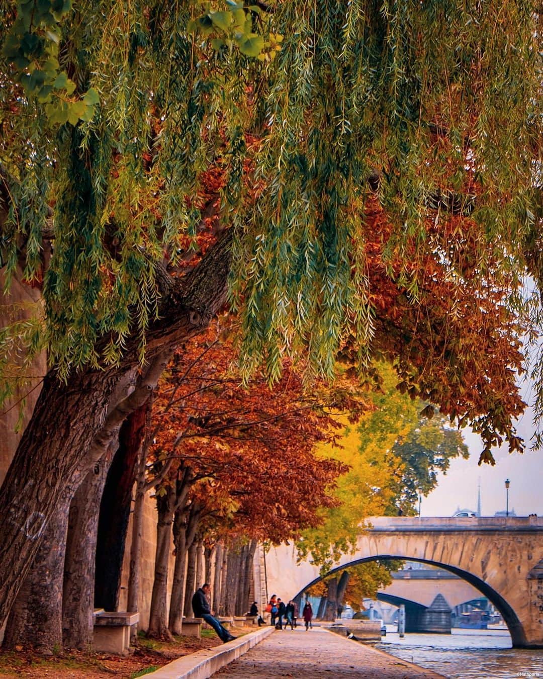 nathparisのインスタグラム：「COULEURS D’AUTOMNE 🍂🍁🍂 . Bon week-end 💛 . Have a nice weekend 💛」