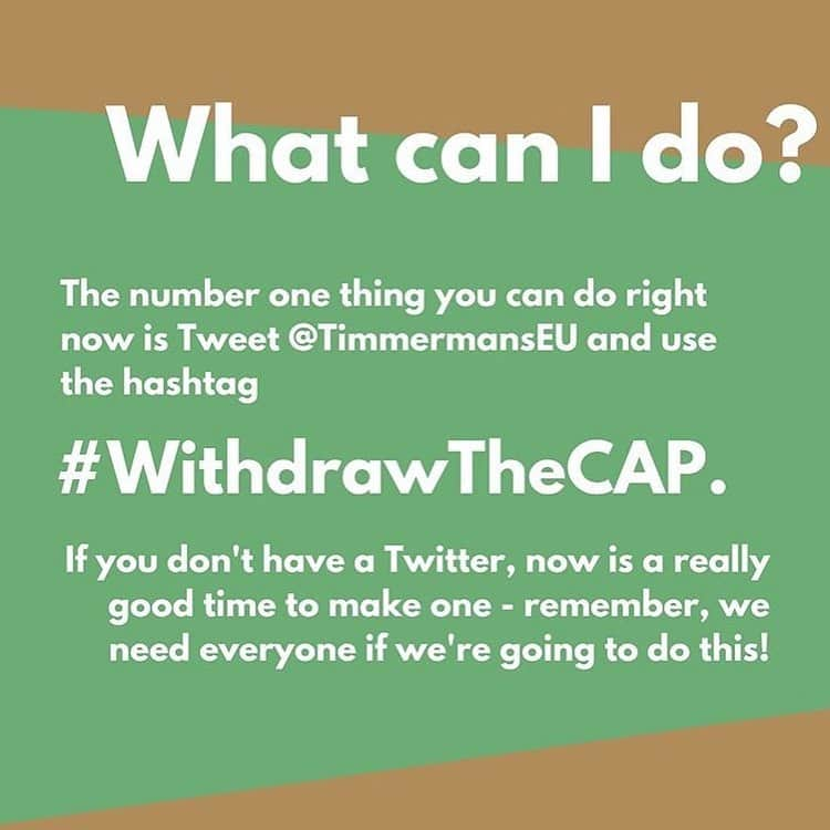 グレタ・トゥーンベリさんのインスタグラム写真 - (グレタ・トゥーンベリInstagram)「The fight is not over yet. We need to keep pushing! We need to keep fighting for a living planet! We need to keep pushing for the EU to #WithdrawTheCAP !  @ursulavonderleyen @frans__timmermans @ep_president @eucouncil @europeanparliament @europeancommission #WithdrawTheCAP Graphic: @saoioconnor」10月24日 23時18分 - gretathunberg