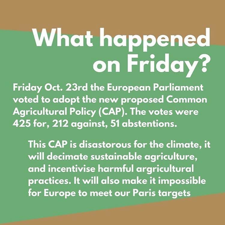 グレタ・トゥーンベリさんのインスタグラム写真 - (グレタ・トゥーンベリInstagram)「The fight is not over yet. We need to keep pushing! We need to keep fighting for a living planet! We need to keep pushing for the EU to #WithdrawTheCAP !  @ursulavonderleyen @frans__timmermans @ep_president @eucouncil @europeanparliament @europeancommission #WithdrawTheCAP Graphic: @saoioconnor」10月24日 23時18分 - gretathunberg