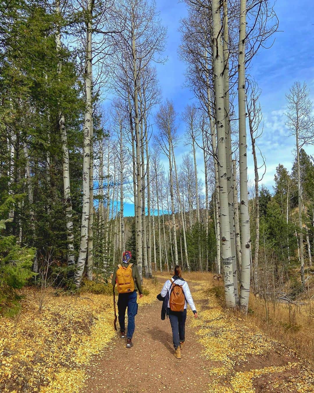 マヌ・ジノビリのインスタグラム：「🇺🇲Hiking with my travel companion, friend, lover and wife. 🥰 🇦🇷Caminata con mi compañera de viaje, amiga, amante y mujer. 🥰」