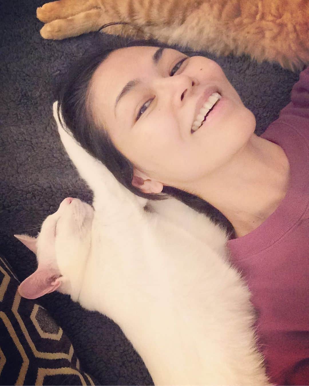 岡田屋鉄蔵のインスタグラム：「ハ！ハ！ハ！ 飼い主の特権！またはご褒美★」