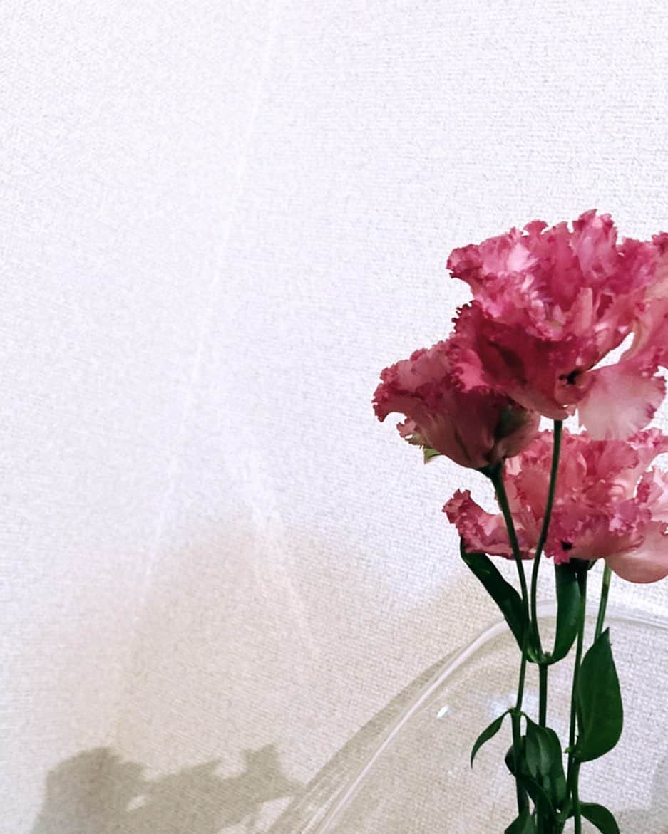 のインスタグラム：「花の色は うつりにけりな いたづらに  わが身世にふる ながめせしまに」