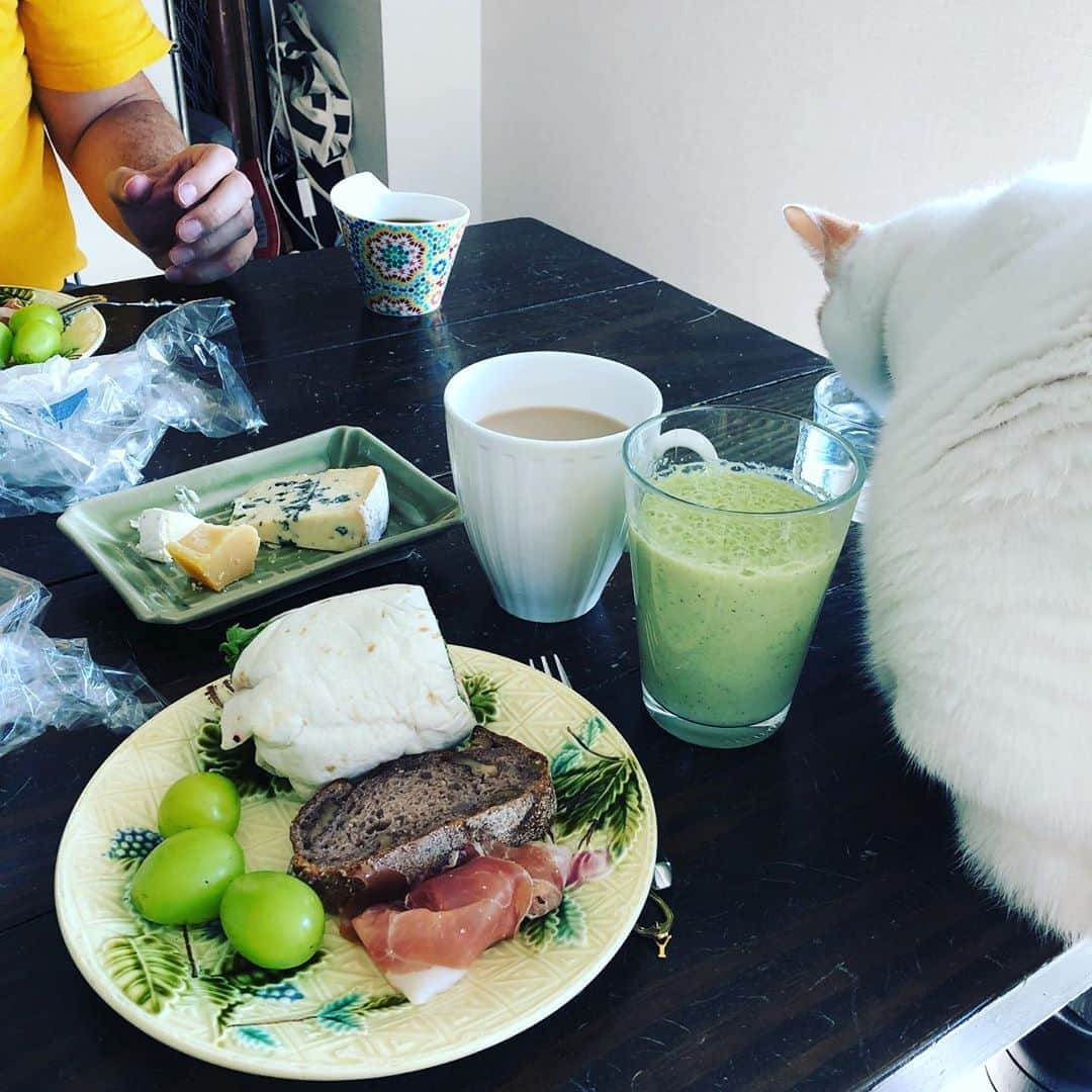 池田有希子のインスタグラム：「買いすぎてしまった牛乳でまずはバナジュー。さ、稽古の前に家で作業！」