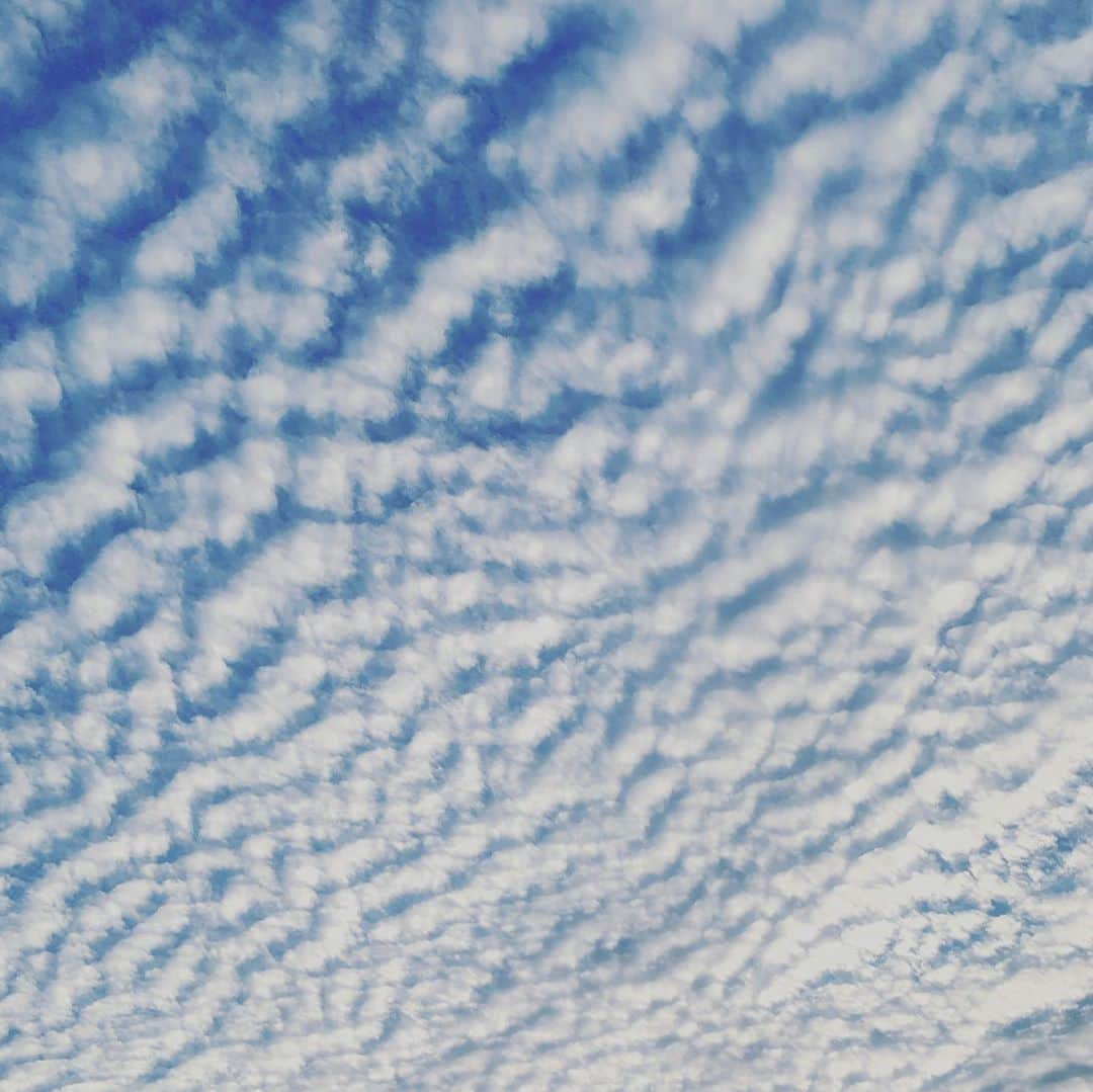 Uruさんのインスタグラム写真 - (UruInstagram)「毛布みたいで撫でたくなった  #雲  #うろこ雲」10月25日 10時40分 - uru_official.id