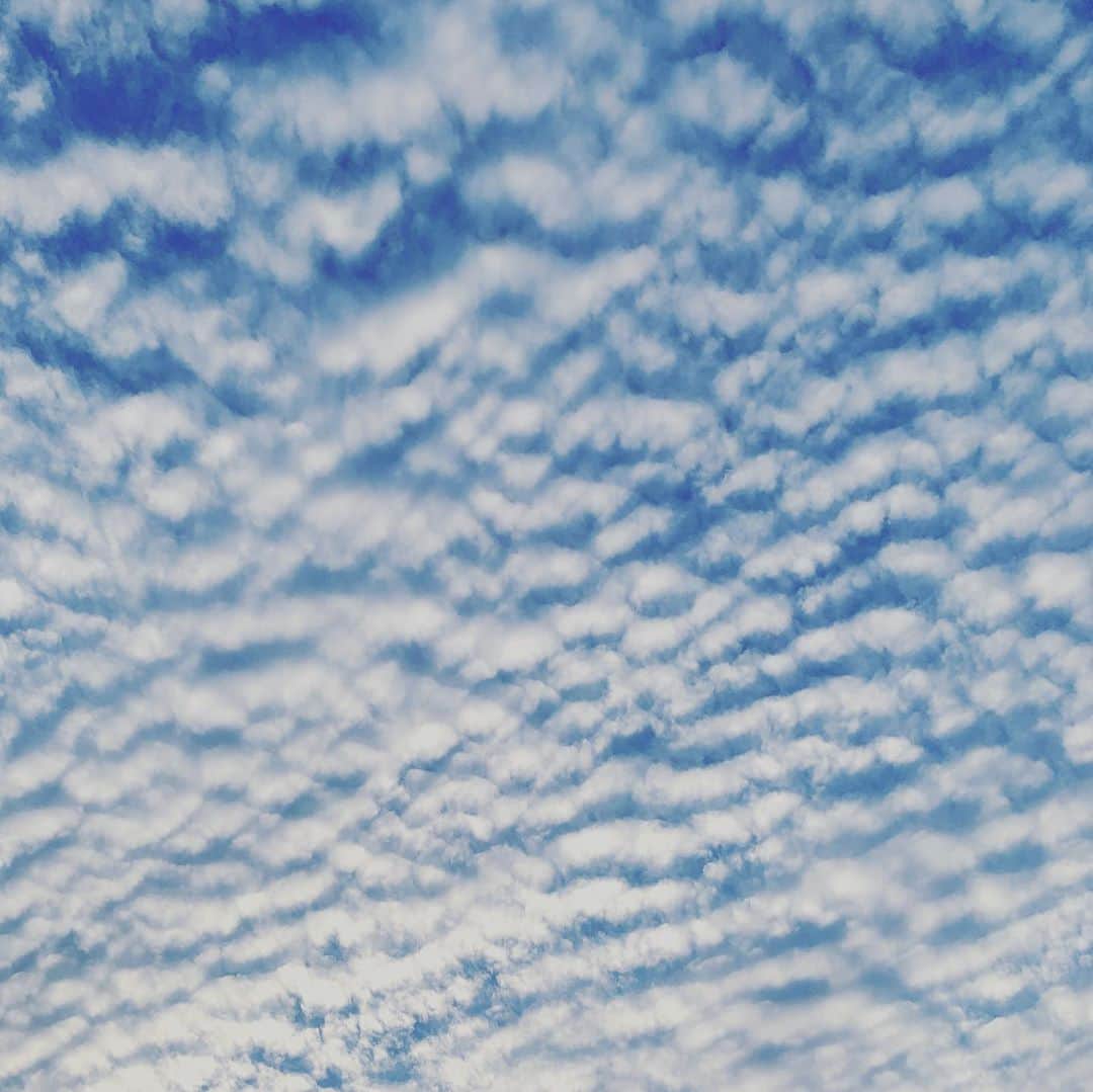 Uruさんのインスタグラム写真 - (UruInstagram)「毛布みたいで撫でたくなった  #雲  #うろこ雲」10月25日 10時40分 - uru_official.id