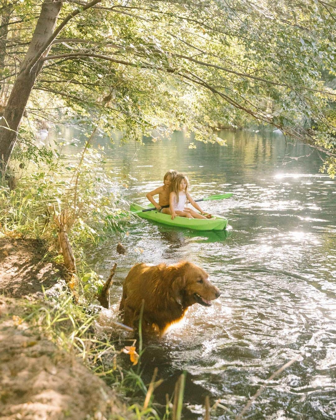 Amber Fillerup Clarkさんのインスタグラム写真 - (Amber Fillerup ClarkInstagram)「Chauncey was in heaven this weekend swimming in the creek and chasing javelinas. Love when my pup is exhausted at night because that is the sign of a good Chauncey day!」10月25日 11時09分 - amberfillerup